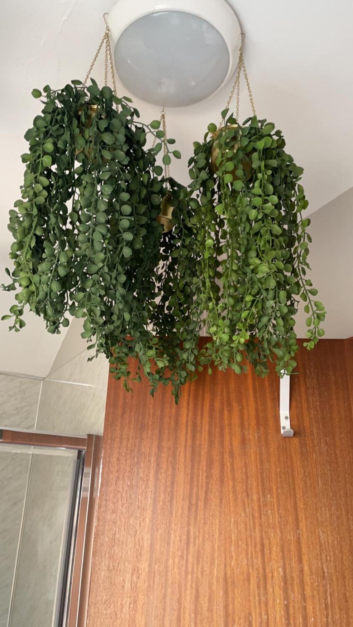 בלפסט Lwr Ormeau Guest House מראה חיצוני תמונה